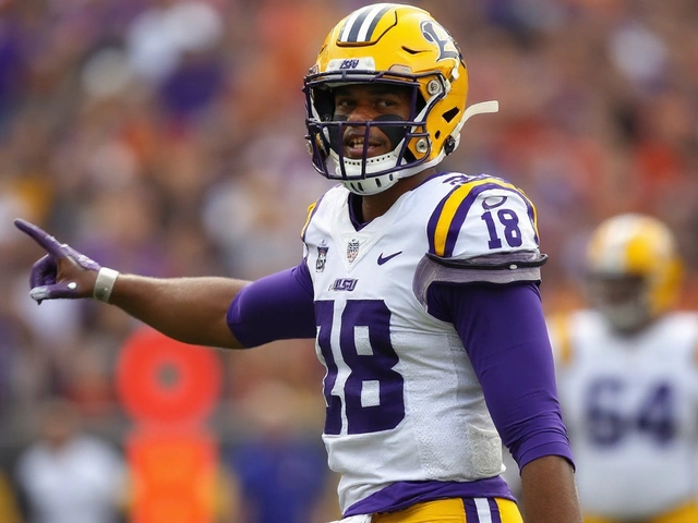 LSU football vs Louisiana Tech: Final score, highlights, and what we learned from 23-7 win